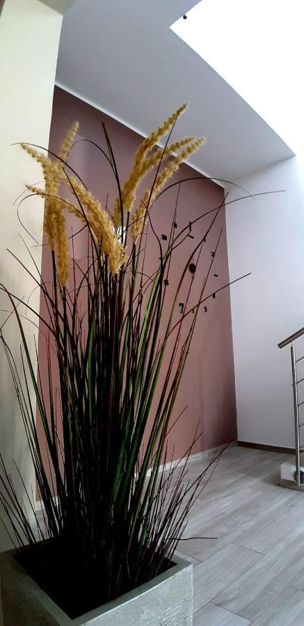 B&B Filieri Santa Maria al Bagno Esterno foto